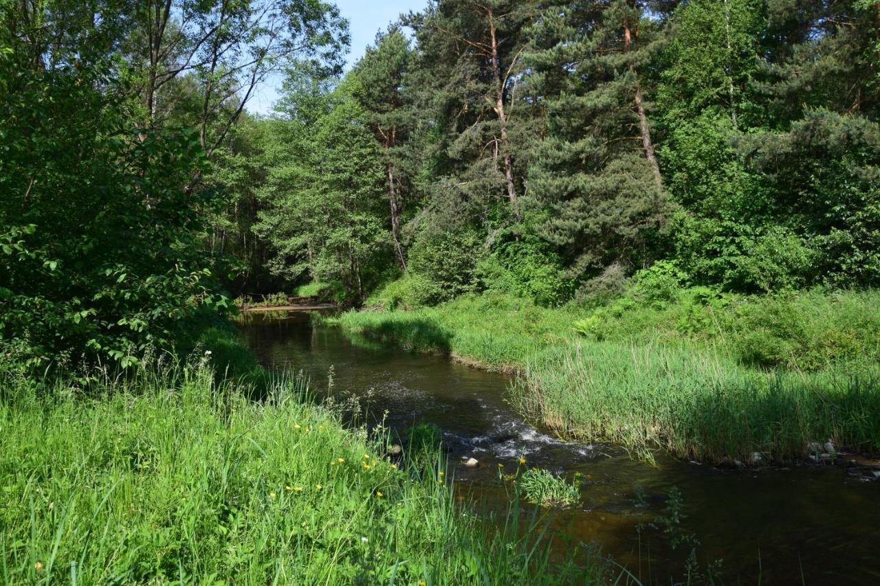 Stary Janow - Pensjonat Staporkow Exteriér fotografie